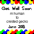 Get Well Soon story thumbnail